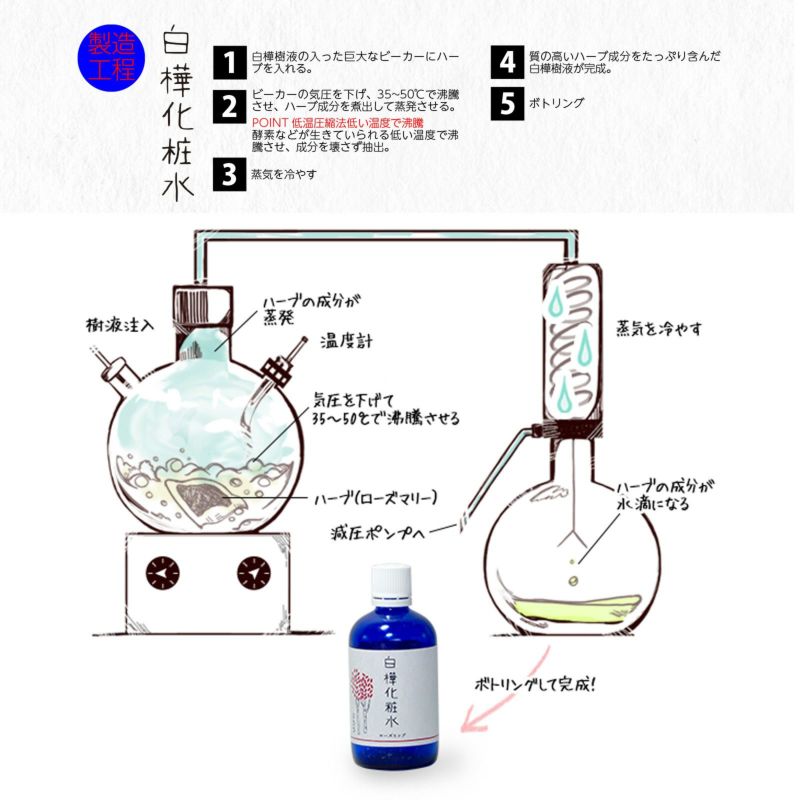 定期】白樺化粧水ローズマリー | ぷろろ健美堂